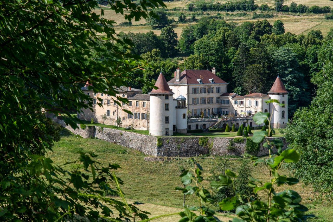 Chateau De Pramenoux Lamure-sur-Azergues Exterior photo